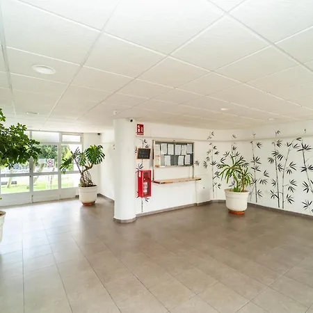 Apartament Piscina Terraza A Minutos De La Playa Benidorm